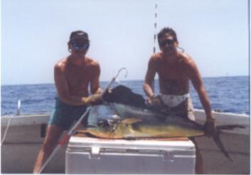 dorado1 - 45lb Dorado (Mahi Mahi)&nbsp;
