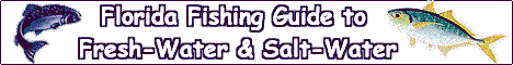 alwaysfishing final banner.gif (9812 bytes)