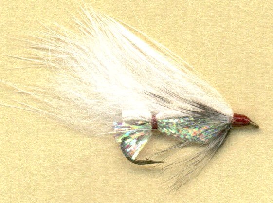 white zonker bass fishing lure