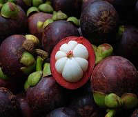 mangosteen, thai mahng khoot