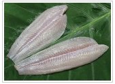 basa fillets