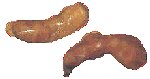Mullet Roe