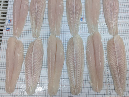 OFCO Group - SEAFOOD INSPECTION & CONSULTING IN VIETNAM - Photo taken during inspection